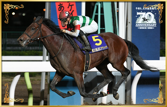 2020年優勝馬 クリソベリル号