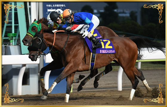 2020年優勝馬 ファッショニスタ号(外)
