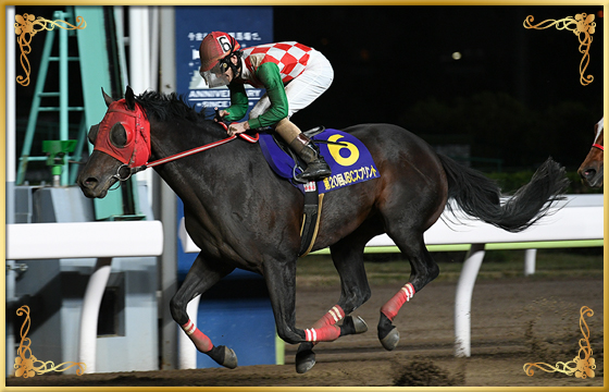 2020年優勝馬 サブノジュニア号