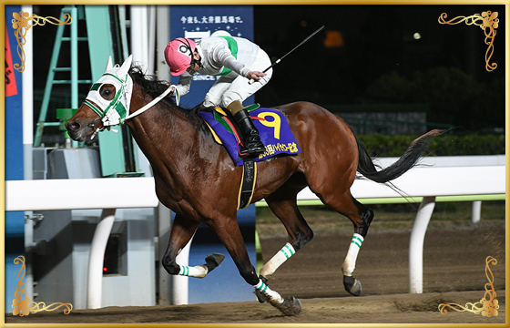 2020年優勝馬　アランバローズ号