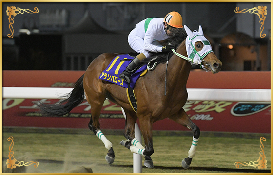 2020年優勝馬 アランバローズ号