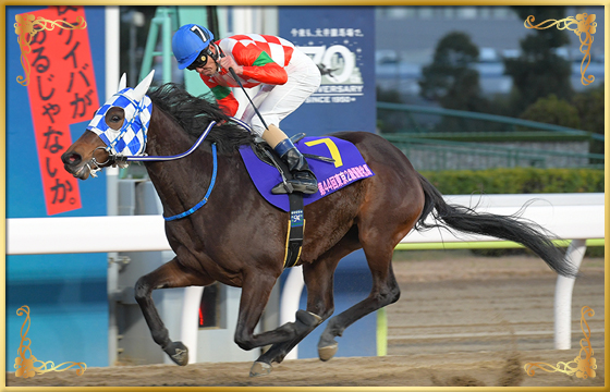 2020年優勝馬　ケラススヴィア号