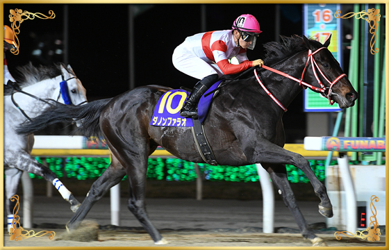 2021年優勝馬 ダノンファラオ号