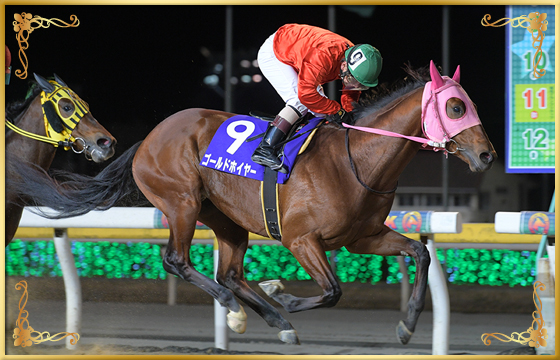 2021年優勝馬 ゴールドホイヤー号