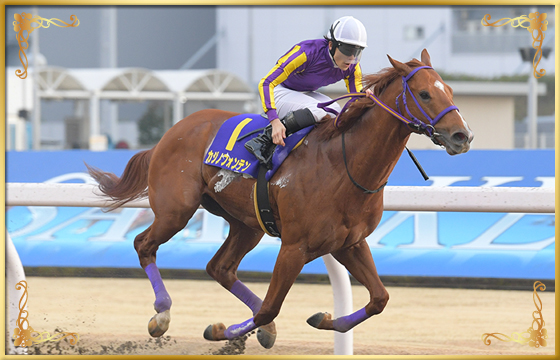 2021年優勝馬　カジノフォンテン号