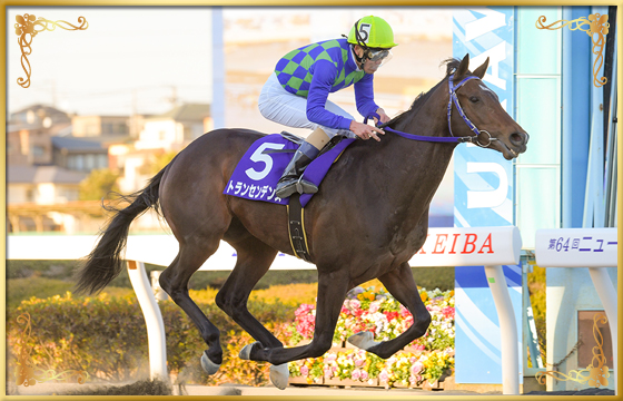 2021年優勝馬 トランセンデンス号