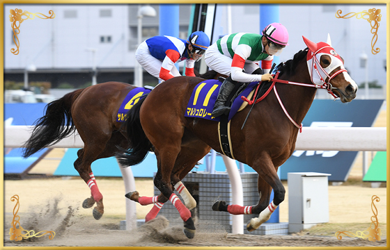 2021年優勝馬 マルシュロレーヌ号
