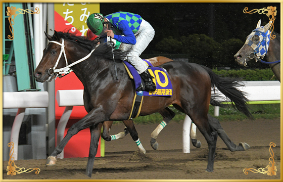 2021年優勝馬 トランセンデンス号