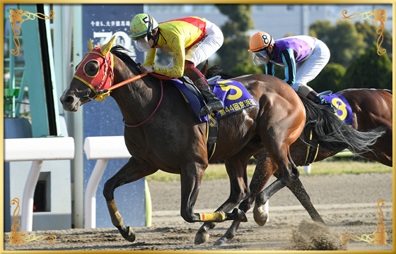 2021年優勝馬 チサット号