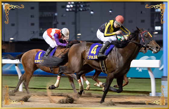 2021年優勝馬　ジョエル号