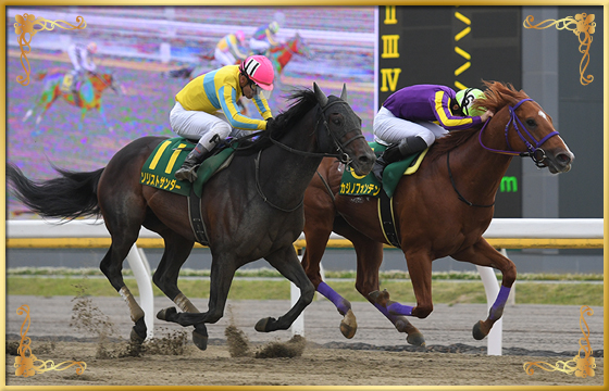 2021年優勝馬 カジノフォンテン号(内)