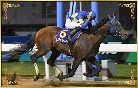 2021年優勝馬　モジアナフレイバー号