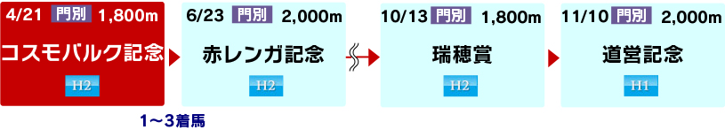 体系図　～3歳以上中長距離～