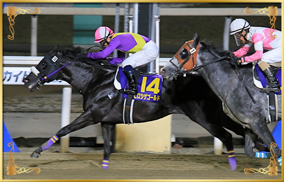2021年優勝馬 ヒロシゲゴールド号