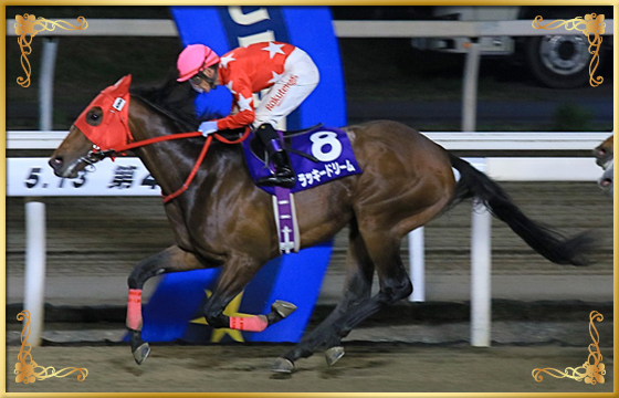 2021年優勝馬 ラッキードリーム号