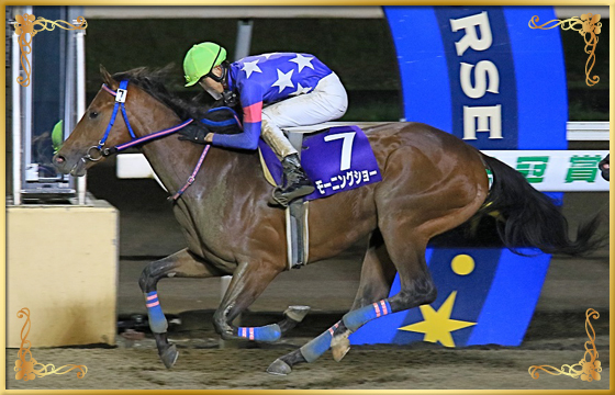 2021年優勝馬 モーニングショー号