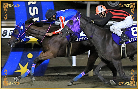 2021年優勝馬 スティールルージュ号(内)