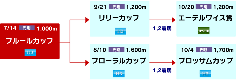 体系図　～ホッカイドウ競馬2歳牝馬～