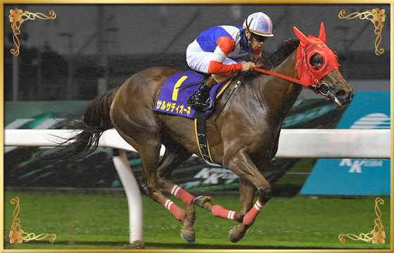 2021年優勝馬 サルサディオーネ号