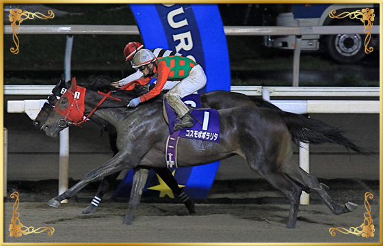 2021年優勝馬 コスモポポラリタ号(外)