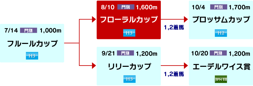 体系図　～ホッカイドウ競馬2歳牝馬～