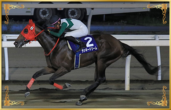 2021年優勝馬 ラッキードリーム号