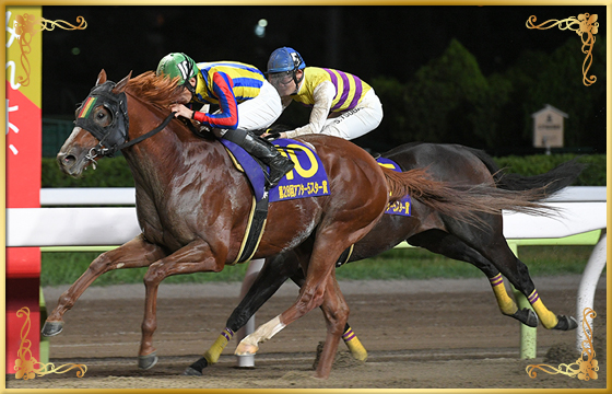 2021年優勝馬 ワールドリング号