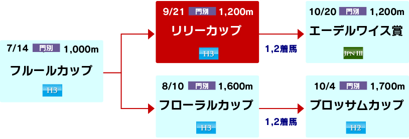 体系図　～ホッカイドウ競馬2歳牝馬～