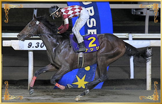 2021年優勝馬 ナッジ号
