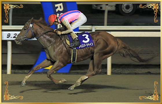 2021年優勝馬 ジャスパーシャイン号