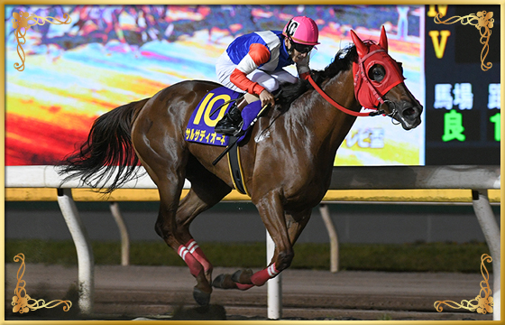 2021年優勝馬 サルサディオーネ号