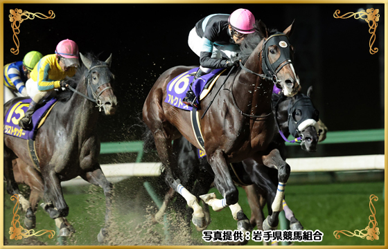 2021年優勝馬　アルクトス号