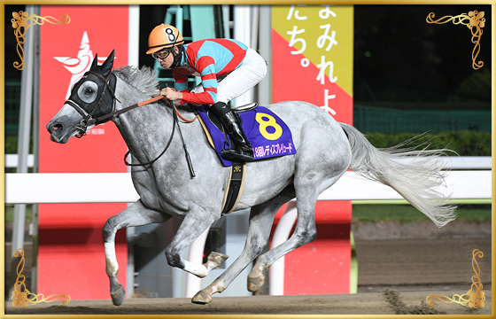 2021年優勝馬　レーヌブランシュ号