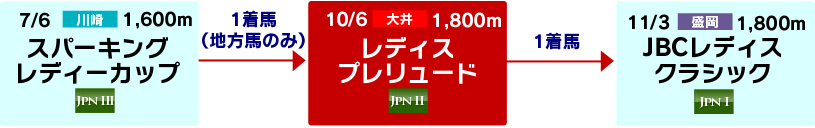 体系図　～Road to JBCレディスクラシック～