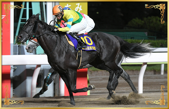 2021年優勝馬　サクセスエナジー号