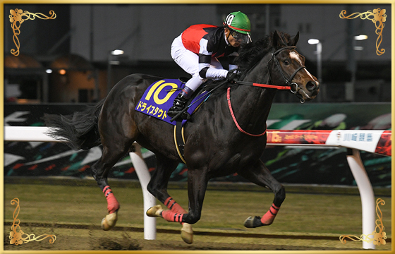 2021年優勝馬 ドライスタウト号