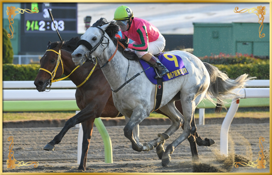 2021年優勝馬　オメガパフューム号（外）