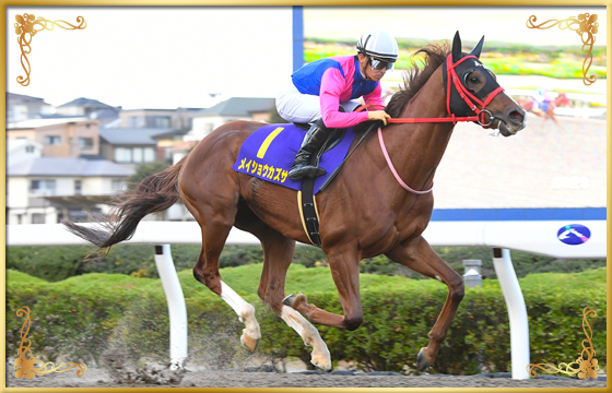 2021年優勝馬　メイショウカズサ号