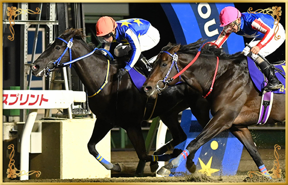 2021年優勝馬 アザワク号(内)