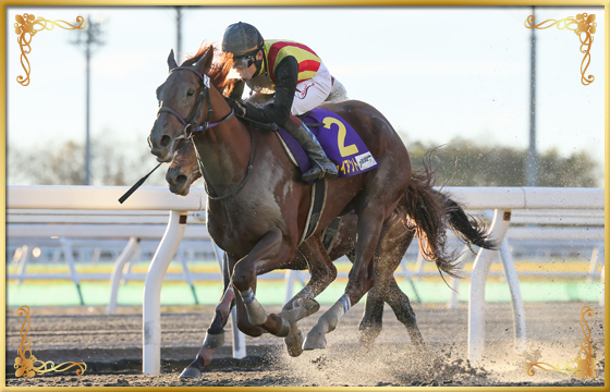 2021年優勝馬　アイスジャイアント号