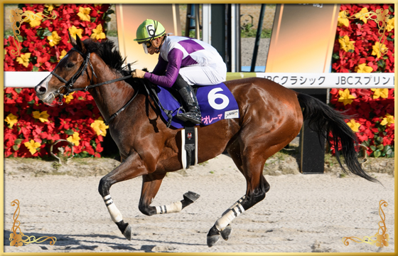 2021年優勝馬 テオレーマ