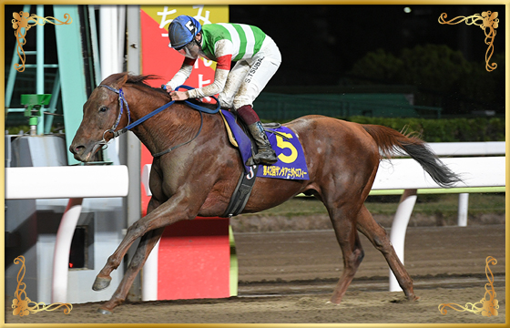 2021年優勝馬　トロヴァオ号