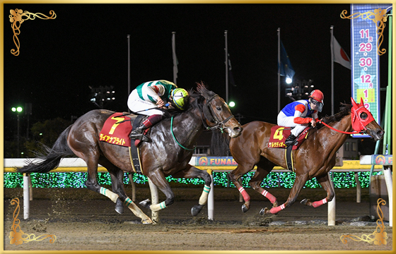 2021年優勝馬 ダイアナブライト号(外)