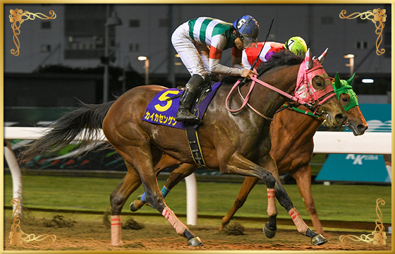 2021年優勝馬 カイカセンゲン号(外)