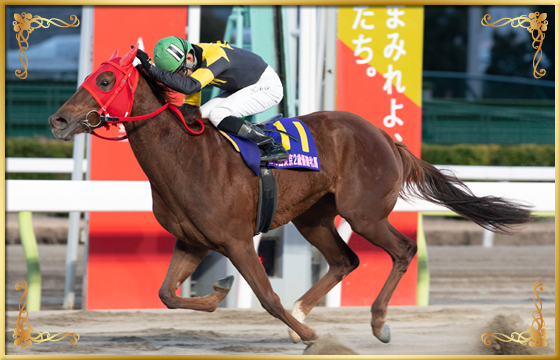 2021年優勝馬　スピーディキック号