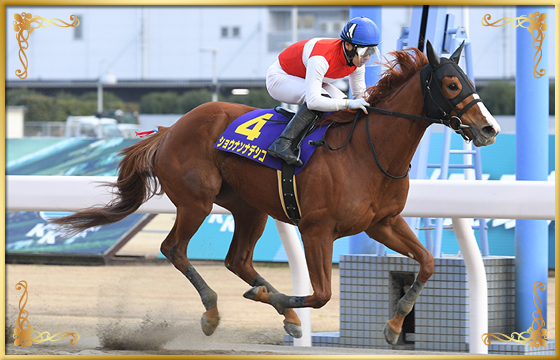 2022年優勝馬　ショウナンナデシコ号