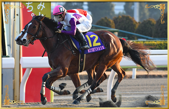 2022年優勝馬 テオレーマ号