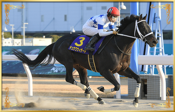 2022年優勝馬　チュウワウィザード号