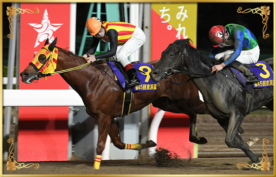 2022年優勝馬　シャルフジン号