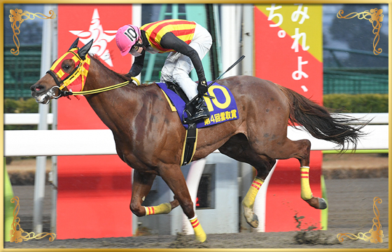 2022年優勝馬　シャルフジン号